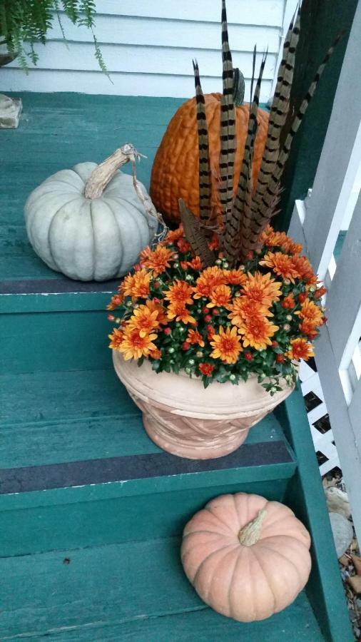 Barclay Cottage Bed And Breakfast Virginia Beach Exterior foto